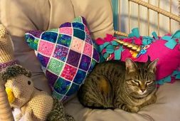 cobble-stitch-heart-pillow