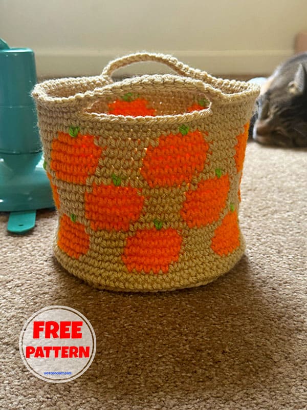 Chic Crochet Pumpkin Basket