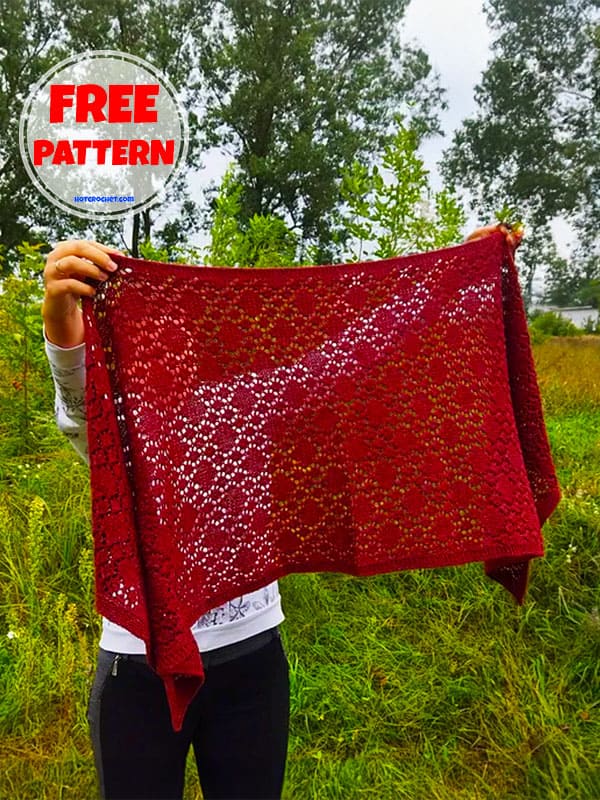 All Seasonal Lacy Free Easy Knit Shawl Pattern​ 