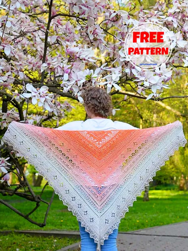 Colourful Free Crochet Flower Shawl Pattern PDF