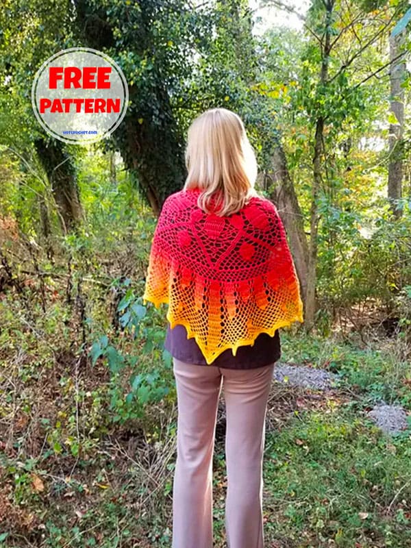 Elegant Lace Crochet Shawl Pattern Free​