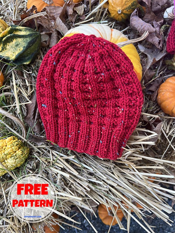 Free waffle stitch knit hat PDF pattern (2)