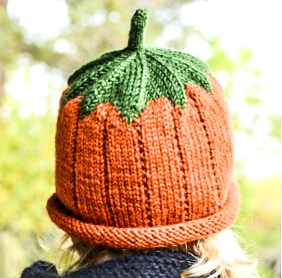 Pumpkin Baby Hat Free Knitting Pattern 2021 hotcrochet
